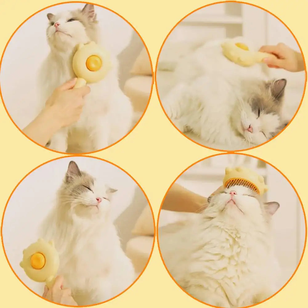 Pet Grooming Brush